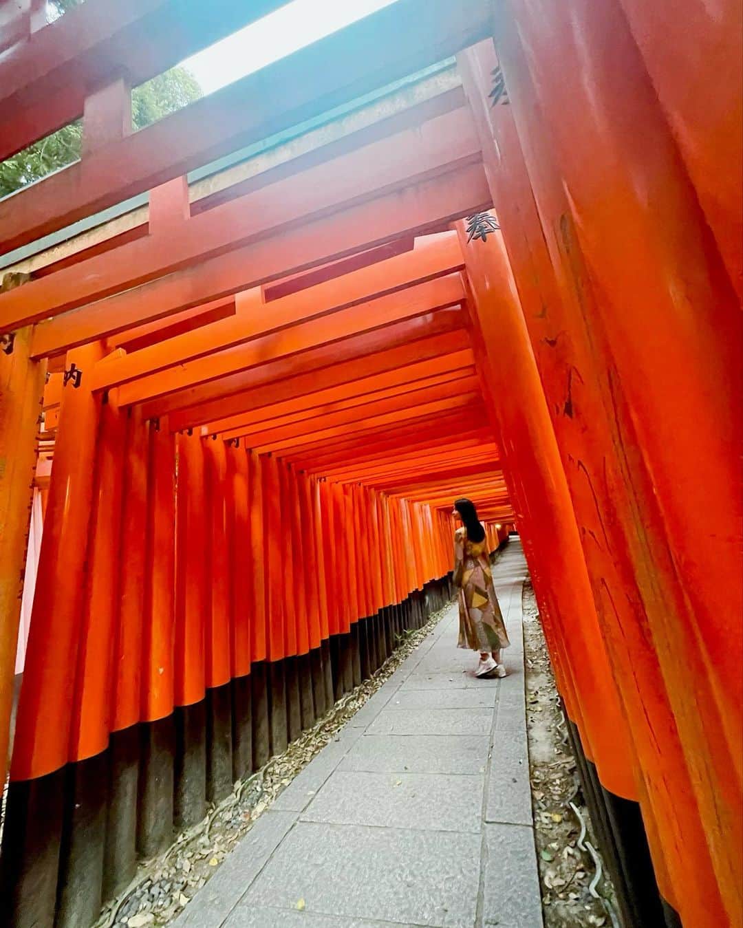 千倉里菜さんのインスタグラム写真 - (千倉里菜Instagram)「友達と京都旅行に行ってきました☺️ #伏見稲荷大社  タイミング良かったのかな、人が居なくてのんびり歩けました⛩✨  上の方まで行ったら子猫がいて、ずっと歩いてた疲れが吹き飛ぶくらい可愛いかった♡  #猫 #黒猫 #子猫 #cat #kitten #神社 #神社巡り #鳥居 #千本鳥居 #女子旅」6月26日 20時46分 - rina_amatsuma