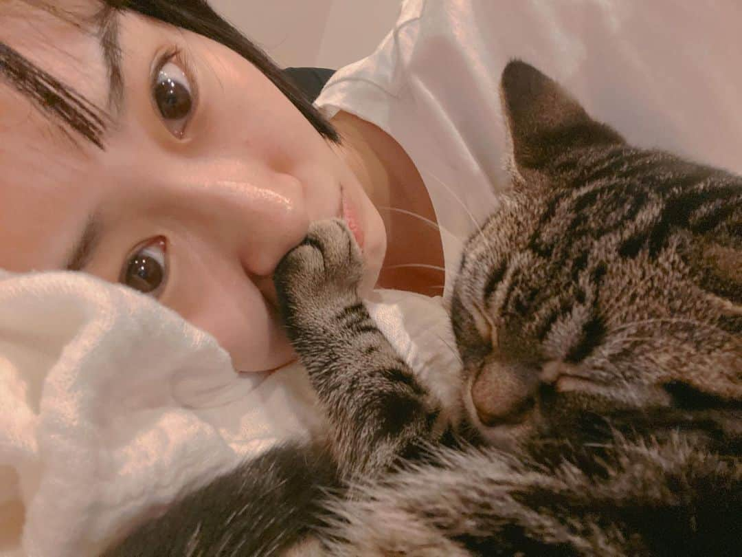 愛希れいかさんのインスタグラム写真 - (愛希れいかInstagram)「暑いからやめてっ😾 だってさー。。。  暑くてもくっつきたいよねー😚♡  にしても…毎日本当に暑いので、 皆さま、お身体に気をつけてお過ごしください🥹  #にゃんすたぐらむ #アメリカンショートヘア #おとこのこ #キャップ #もう #梅雨明け #だなんて #信じられない」6月27日 22時02分 - manakireika_official