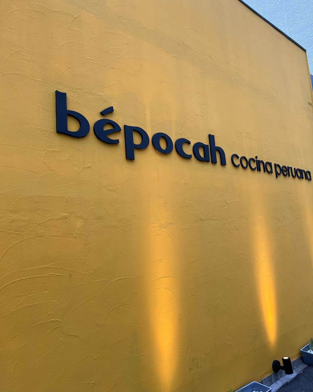 のインスタグラム：「先日、気になってた原宿にあるペルー料理ベポカへ🇵🇪リーズナブルな5800円のコースお腹いっぱいになった。」
