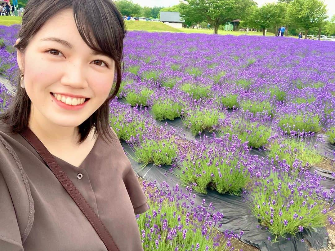 登レイナのインスタグラム：「• 秋田にもラベンダーの名所があります☺️  梅雨の晴れ間に 美郷町のラベンダー祭りへ☀️  去年取材で訪れたときは 感染対策のため祭りは中止でしたが、 今年は3年ぶりに出店も並び賑わっていました😆  美郷町オリジナルの白いラベンダー【美郷雪華】も美しかったです💐  #秋田　#akita  #美郷町　#ラベンダー　#3年ぶり　#祭り　#アナウンサー」