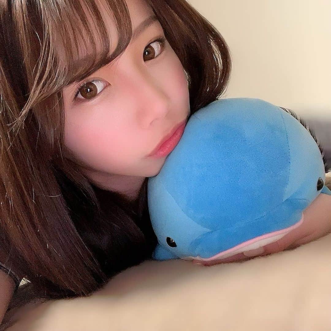 乙陽葵のインスタグラム：「ﾋﾟｶﾗ🐬」