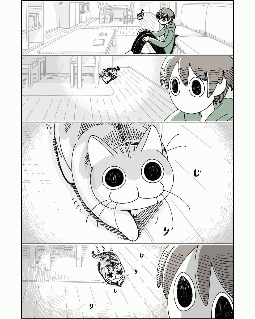 キュルZのインスタグラム：「ネコとだるまさんが転んだ  #キュルガ #夜は猫といっしょ #猫 #猫漫画 #猫のいる暮らし」