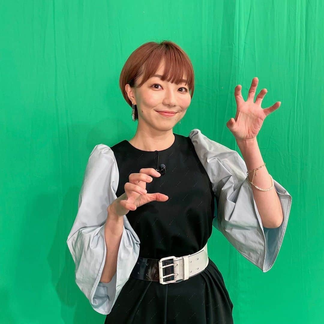 雨宮萌果のインスタグラム：「🦭🦭🦭  6月28日(火)よる7時〜  TBS系列「ZOO-1グランプリ」 超絶癒しSP ぜひお楽しみください🍧  いや〜 しかし暑いですね〜  6月の梅雨明けには驚きです。 　  動物たちも涼をとる工夫を しているみたいですが  私は、今年初のかき氷を 食べました！  軒先のレモン氷🍋  身体に染み渡る〜。　  皆さんも、熱中症には 充分気をつけて お過ごしくださいね。  #動物園#zoo #梅雨明け #かき氷  #cbc #animal #動物」