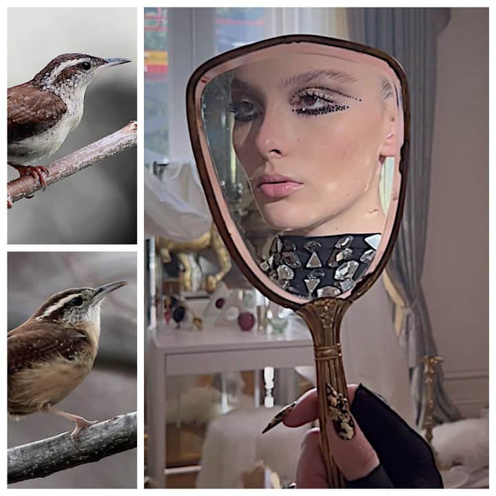 JO BAKERのインスタグラム：「G R A C E • G A U S T A D 🇺🇸 Crystallized details inspired by the common #carolinawren on my bird #gracegaustad for her new single out now #gaga 💥 Nails @tombachik  Hair @kyleeheathhair  Makeup by me #jobakermakeupartist  Link in bio to see what her new album #pillbx is all about !! 💋」