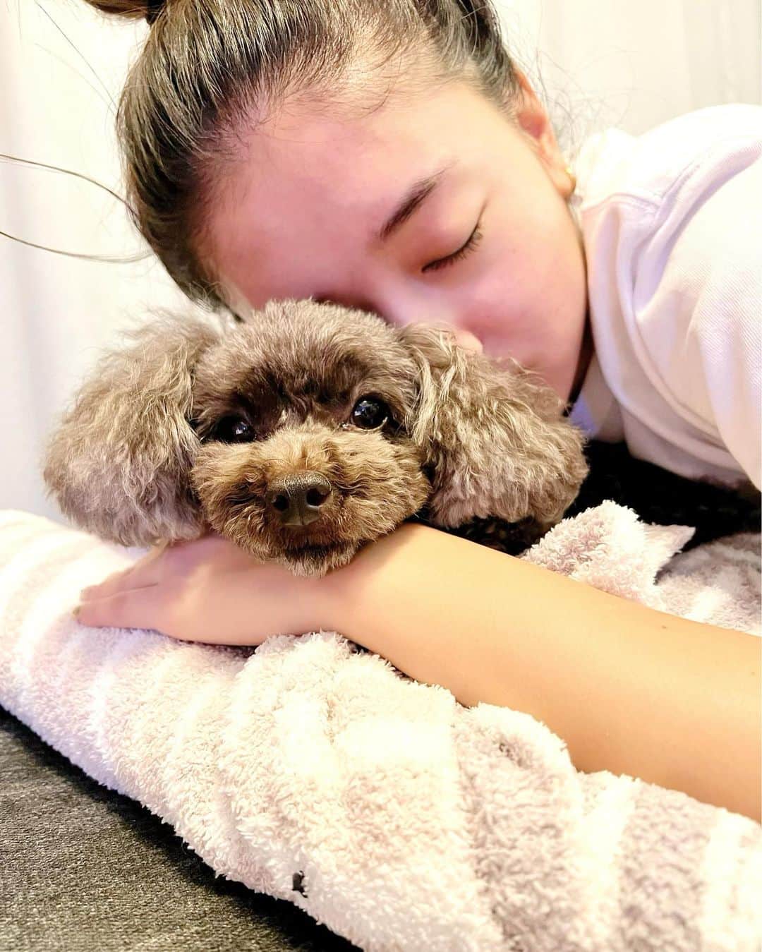 みちょママ（みちょぱ母）のインスタグラム：「久しぶりにぐみちゃん＆美優    ぐみの顔が😂     #トイプードル#トイプードル女の子 #犬のいる暮らし #池田ぐみ#娘と愛犬」