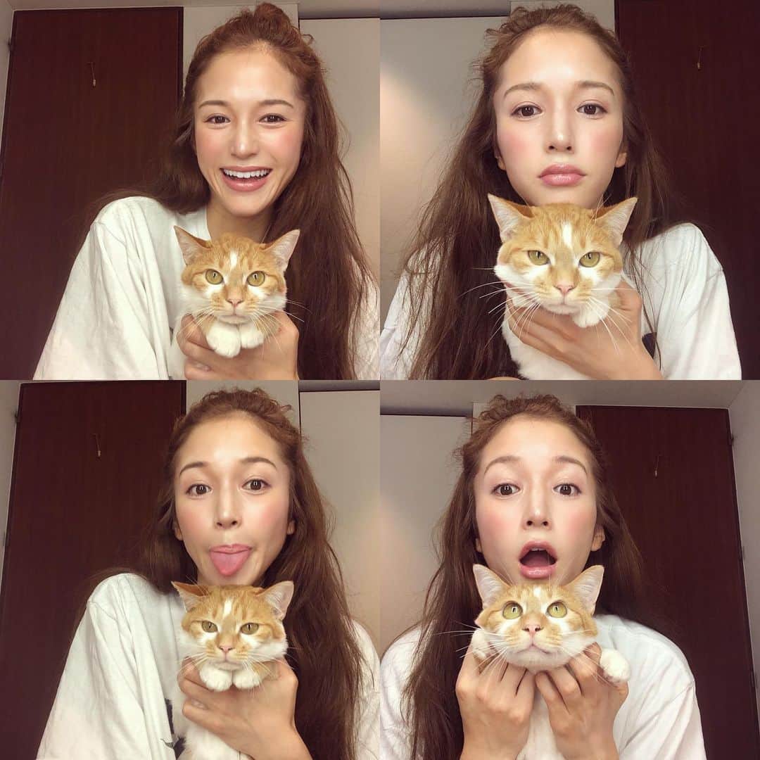 fukishaljのインスタグラム：「Memories with Lemon 🍋  レモンとの想い出たくさん😊 餓死寸前だったレモン拾ってから どんどん顔つきが美人になったなぁ。  9枚目のお洋服着てる頃は 拾ったばかりの時で 私の顔見て 「拾ってくれてありがとう🥺」 って顔でいつも見上げてくれてた。  寝相の悪い私に懲りずに隣で寝てくれたり ずっとそばに居てくれて 私が落ち込んでる時はレモンまで体調悪くなったり一心同体。  レモンをみるだけで 幸せな気持ちになるし 笑顔になる。 レモンの様なきれいな心 学びたい🐈⭐️🙏🏻」