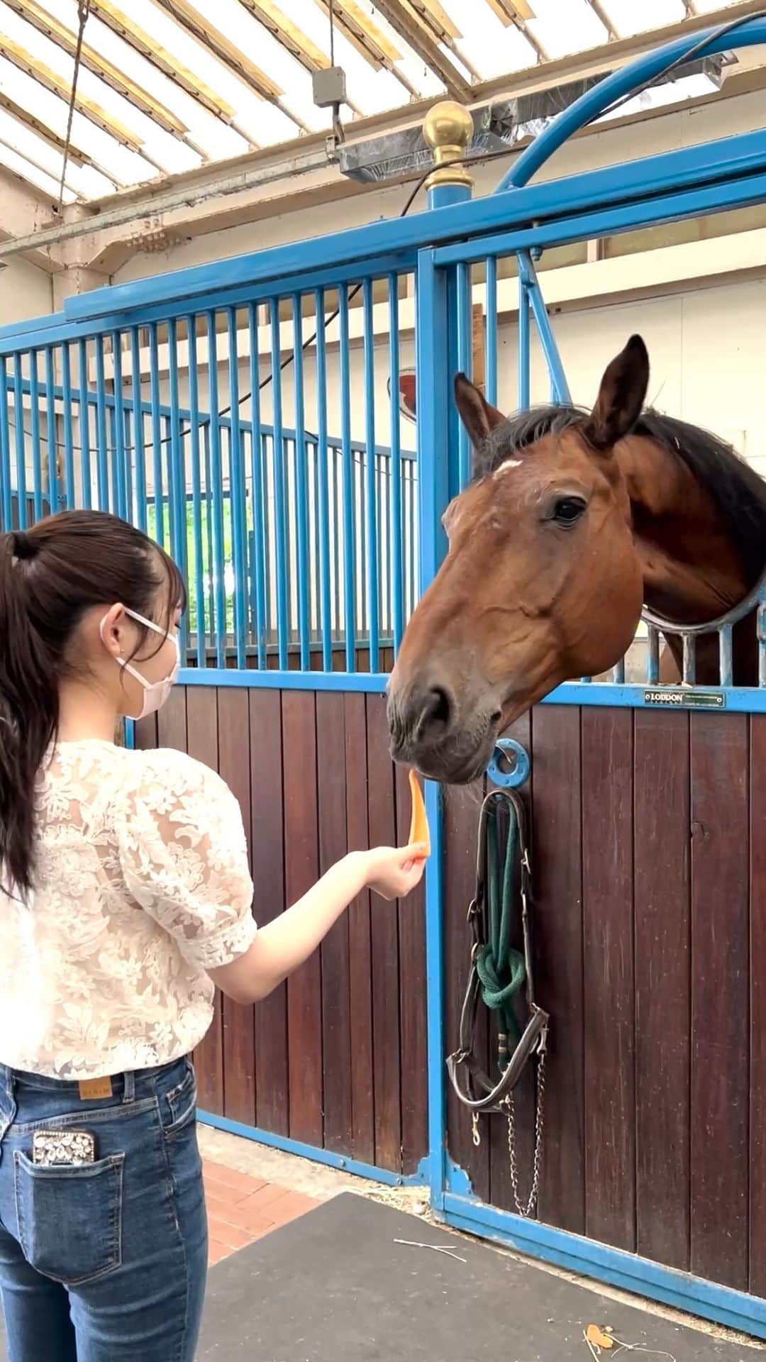 Hinataのグルメインスタ