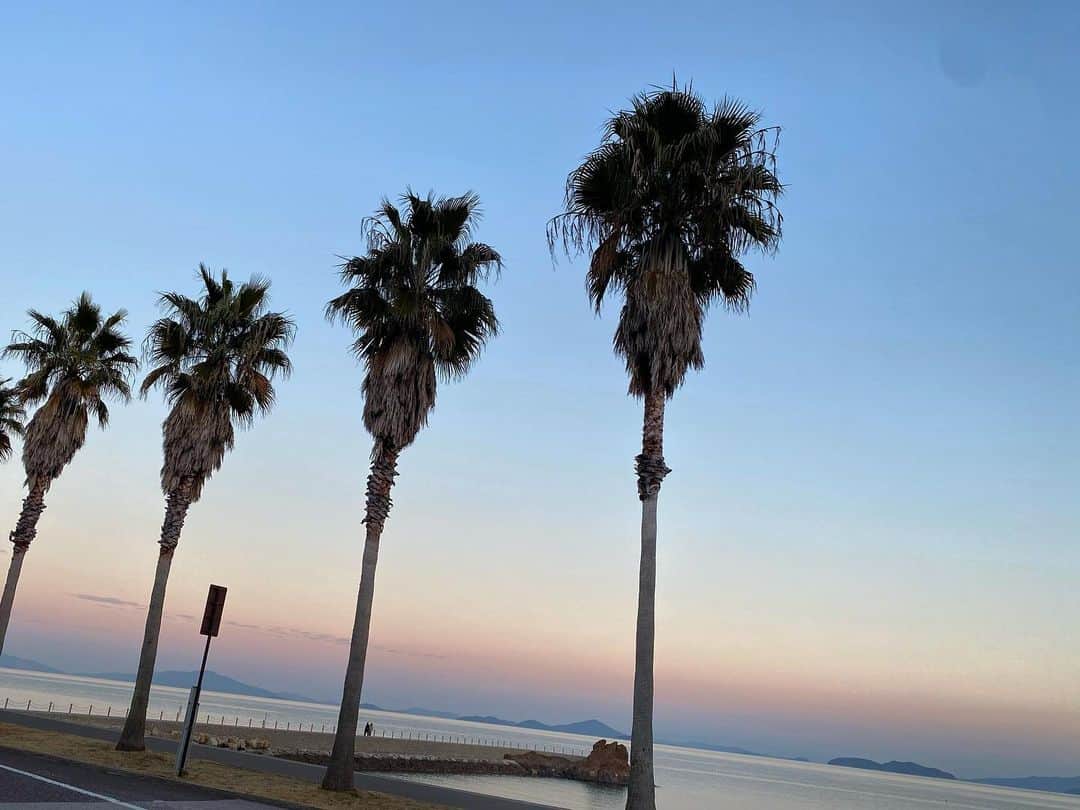三橋亜記のインスタグラム：「. 🌴🌴🧡🧡🧡」