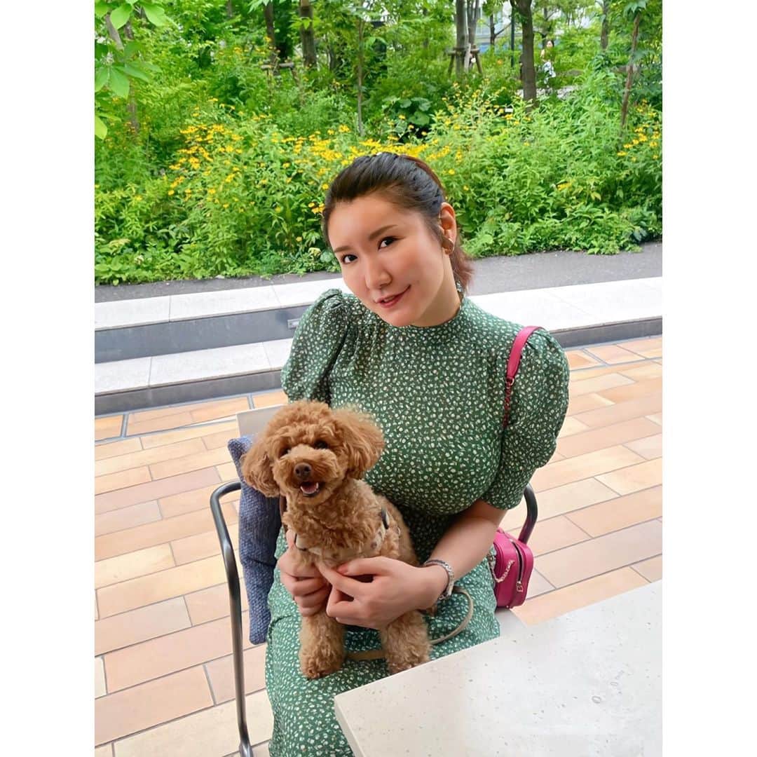 のインスタグラム：「はるちゃんのネロたんと📸🐶❤️ ランチ中ずっと膝の上に居てくれて癒された🥰 はぁ可愛いっっ❤️❤️また早く集まろね❣️ ・ ・ #lunch#表参道ランチ#ランチ女子会」