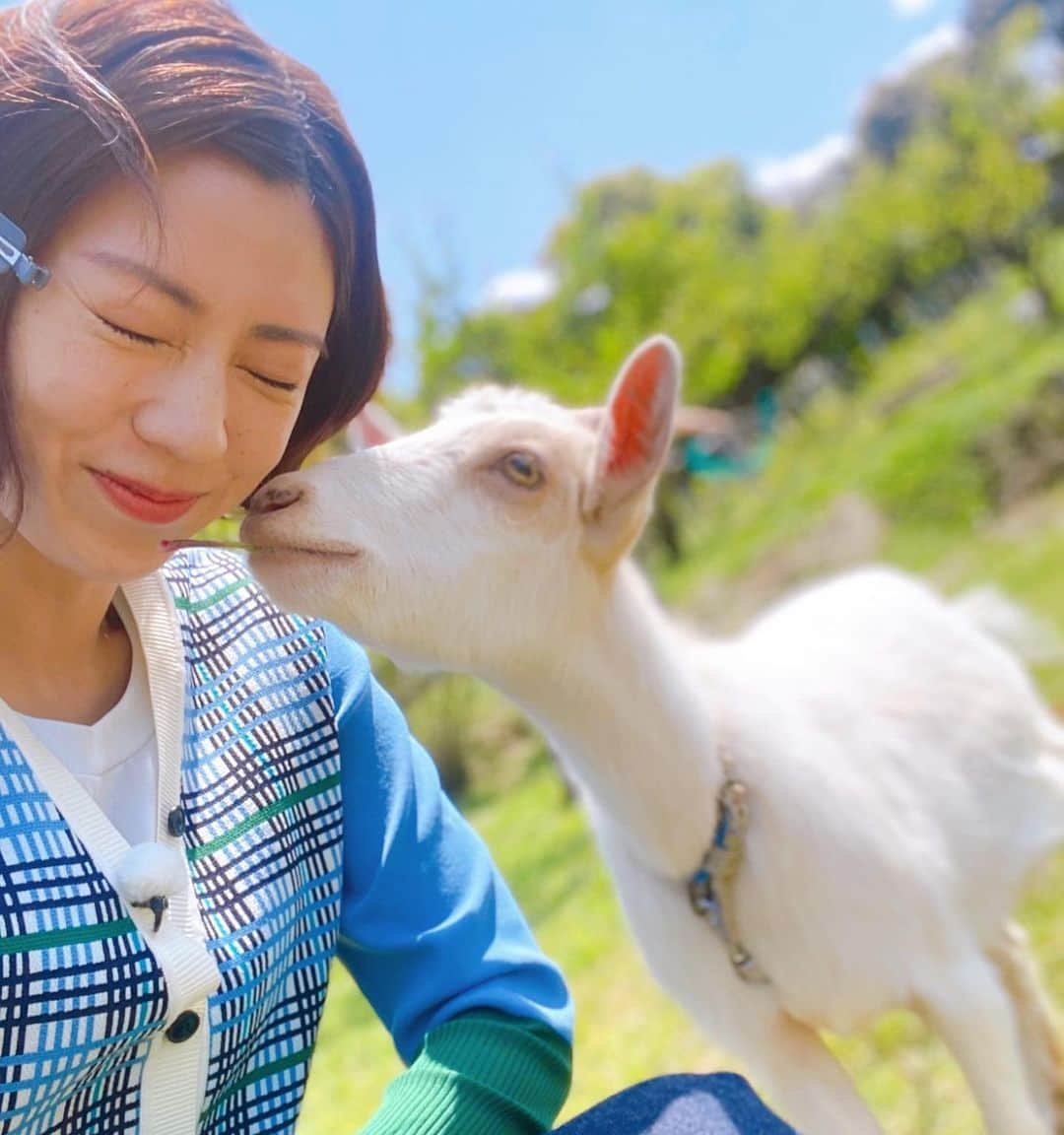 渡辺早織のインスタグラム