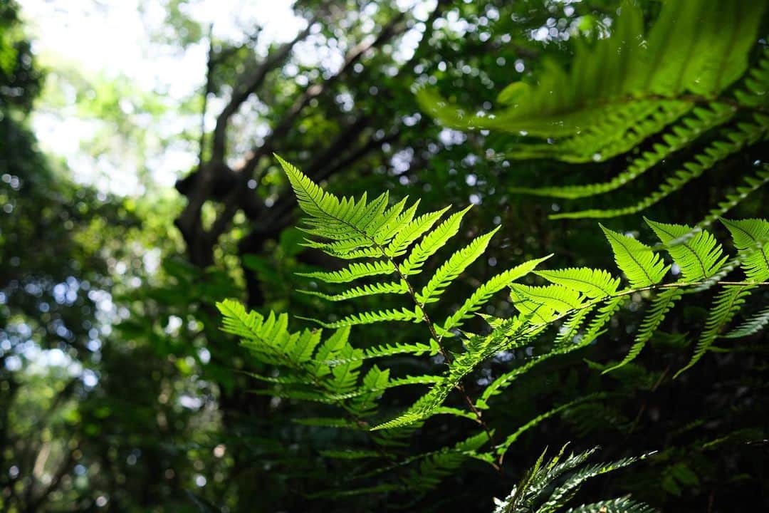 坪井遥司のグルメインスタ