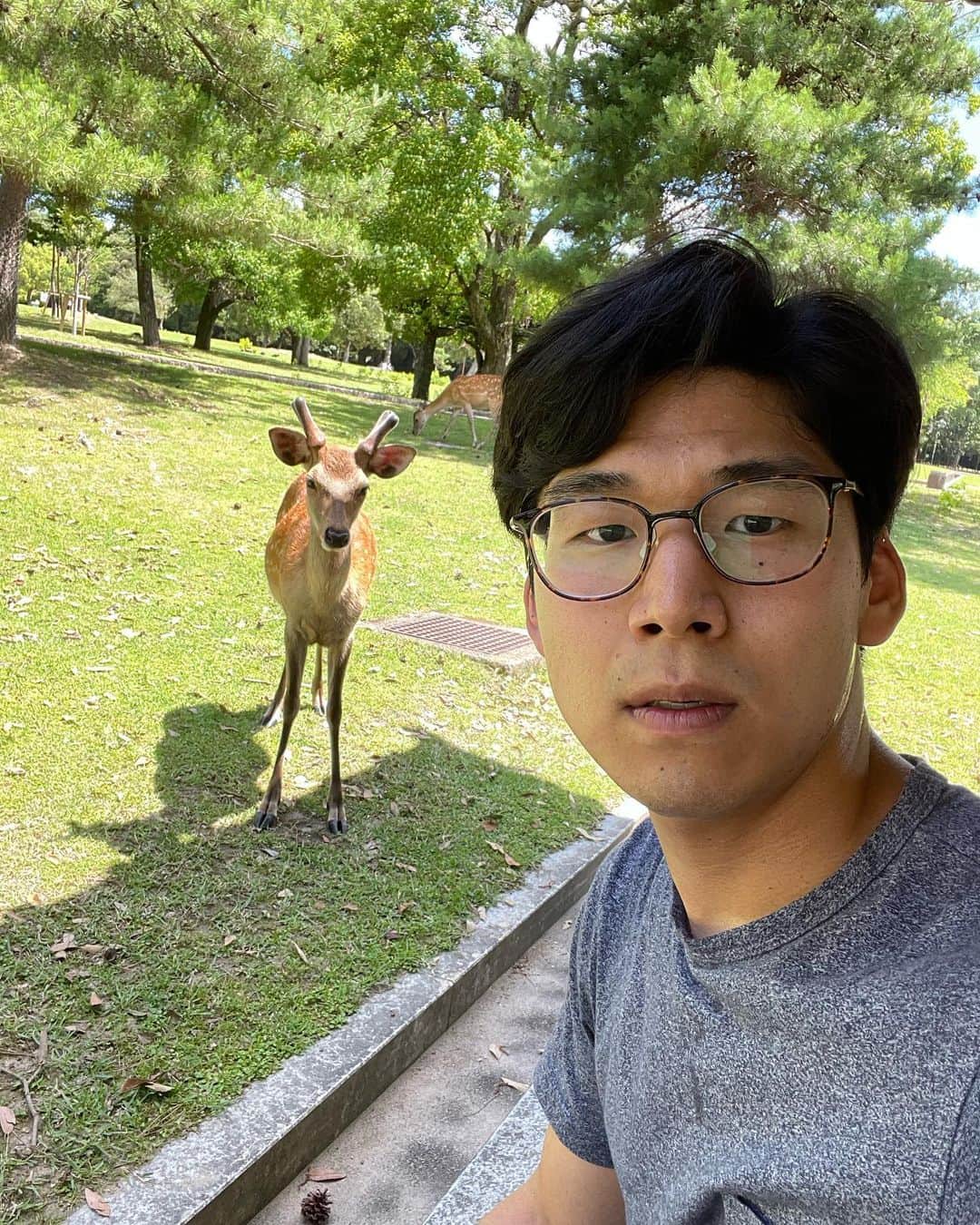 ケビンさんのインスタグラム写真 - (ケビンInstagram)「奈良公園のこの鹿、圧がすごかった」6月28日 23時52分 - kevinofker