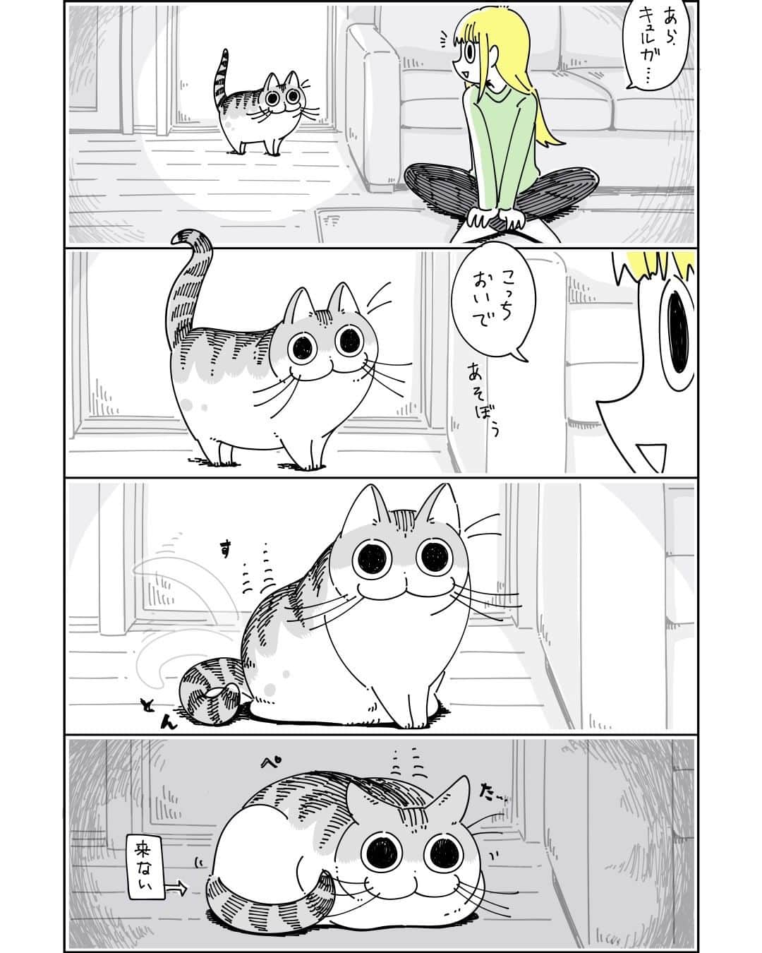 キュルZのインスタグラム：「人差し指を嗅がずにはいられない  #キュルガ #夜は猫といっしょ #猫 #猫漫画 #猫のいる暮らし」
