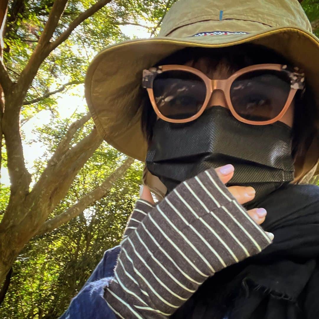 藤田朋子のインスタグラム