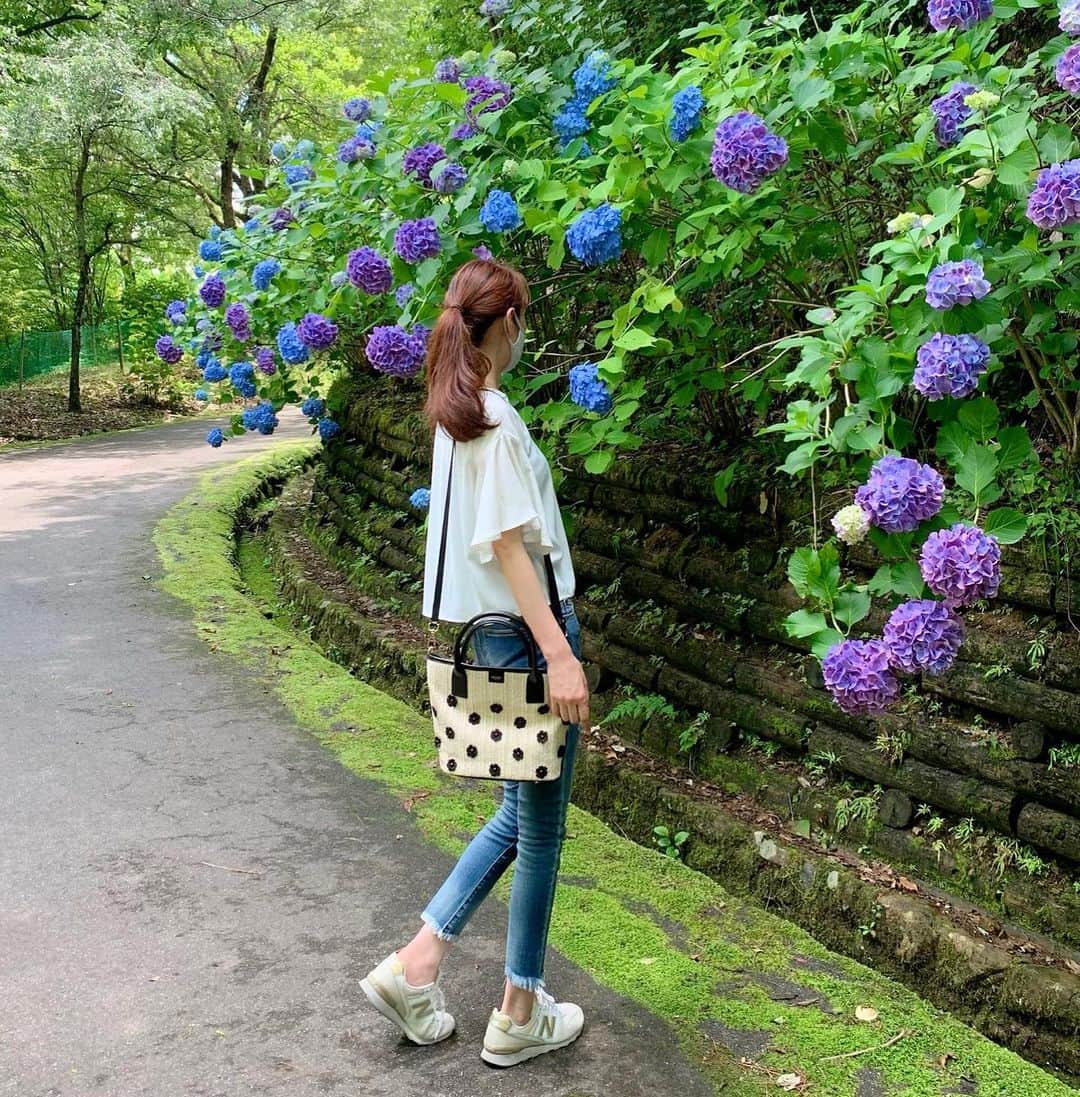 michikoさんのインスタグラム写真 - (michikoInstagram)「new bag ＊ ＊ 猛暑で出掛けるのも勇気がいりますが、最近Get!したカゴバックをお供に今の時期にしか見れない紫陽花を見に行って来ました。 カゴバッグ⬇️ 　 @mosselnewyork  お花のモチーフがとっても可愛く、持ち手やショルダーはBLACKなのでカジュアルになり過ぎないカゴバックです。 中にはポーチが付属されているので、収納もバッチリ！ ショルダーと繋いでバッグにも使えます！ ＊ ＊ ＊ #mosselnewyork #ショルダーバッグ #ハンドバッグ #きれいめコーデ #きれいめカジュアル #bag #カゴバック#夏コーデ #デニムコーデ #あじさい #紫陽花 #fashion #instafashion」6月30日 6時59分 - miccie3030