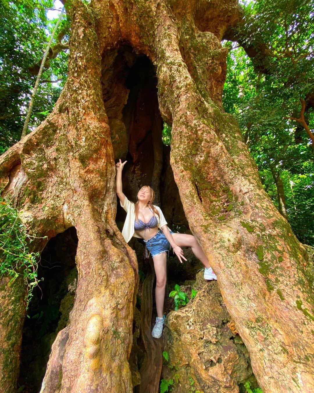 泥泥林のインスタグラム