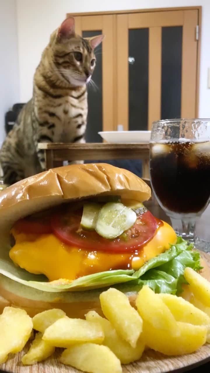 がっちゃんのインスタグラム：「✨モンスターバーガー🍔✨  作るのが大変だった💦  #ハンバーガー #おうちごはん  #おうちカフェ  #おうちバーガー  #中学生」