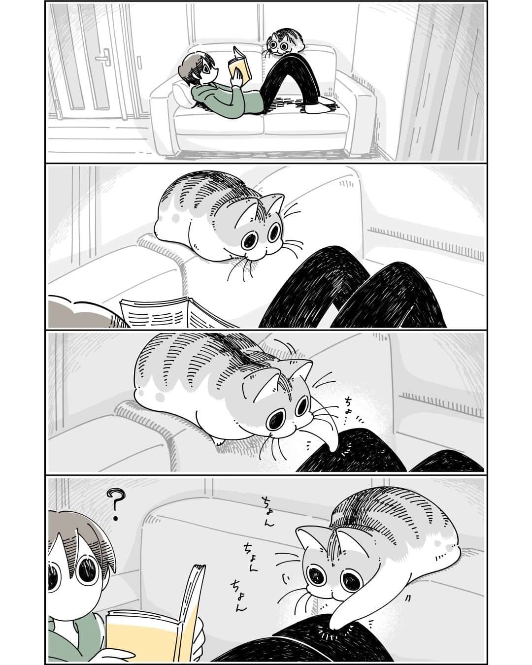 キュルZのインスタグラム：「不思議なところでくつろぐネコ  #キュルガ #夜は猫といっしょ #猫 #猫漫画 #猫のいる暮らし」