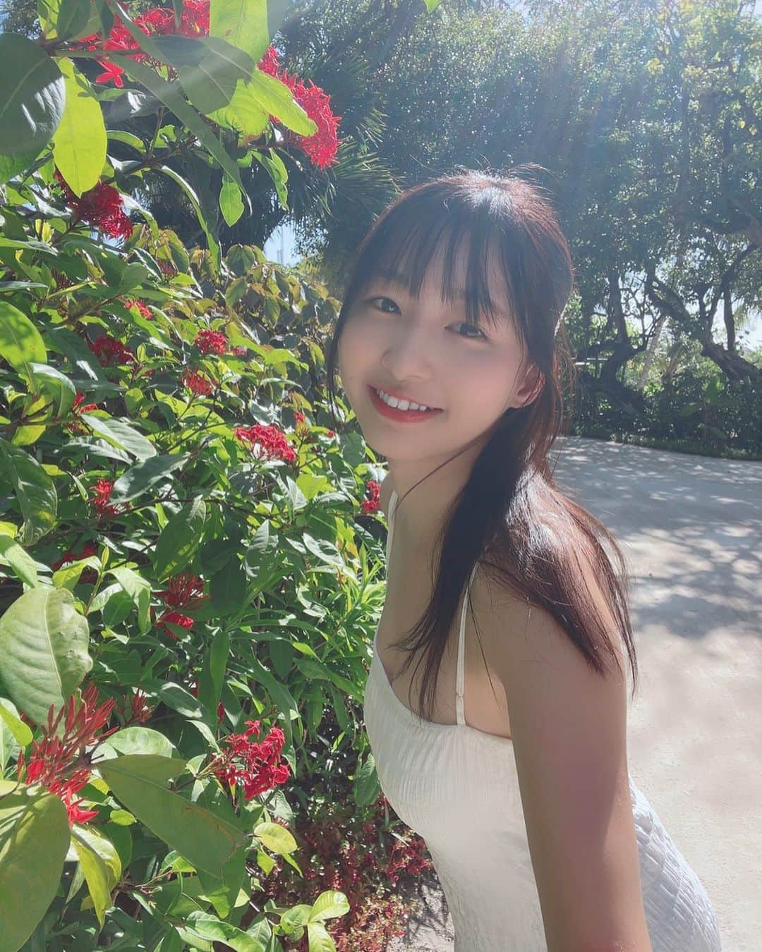 我妻ゆりかさんのインスタグラム写真 - (我妻ゆりかInstagram)「南国のお花🌺♡  なんていう名前なんだろう？？  南国との相性が抜群で ずっとニコニコしてる‪( ˶ ᷇ 𖥦 ᷆ ˵ )‬  日本に帰ったら『南国に行くと頭がバカになる説』を唱えてるマネージャーさんに 「頭おかしくなった？」って言われそうな予感💭  むしろ行く前より成長して帰れてる気がする  初めてのおつかいを経験した子供、みたいな  これからどんな経験をしていくんだろう  自分から動かないと出来ない経験が  体験できなかった出来事が  沢山あるんだろうなぁって思う  誰かと一緒に動くのを待つのもありだけど、私は待ってらんなくて1人で準備して1人で行っちゃった  今凄く楽しい  お仕事、頑張ろうっと！   #ゆりかの一人旅 #ゆりかの海外一人旅」7月14日 20時47分 - wagatsuma_yurika