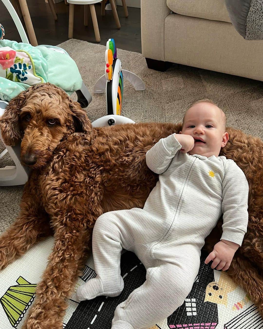 ローレン・マイコラスのインスタグラム：「Chillin best friends 🐶🍼🤍」