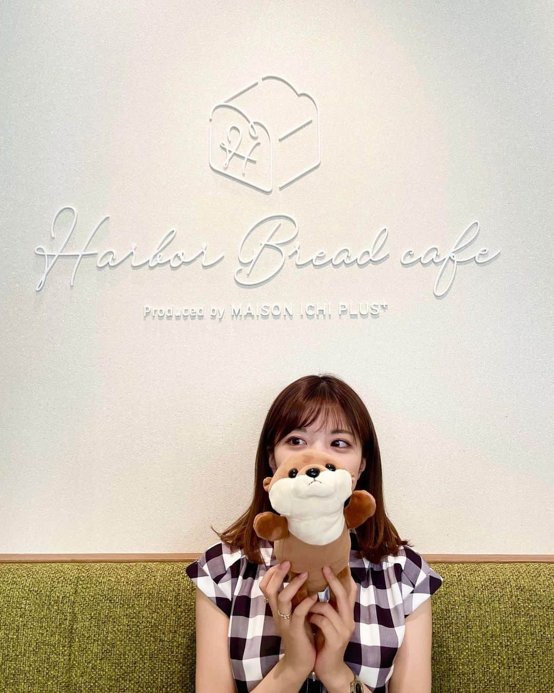 のインスタグラム：「・ カワウソちゃん🤎 #アーカイブ#カワウソ」