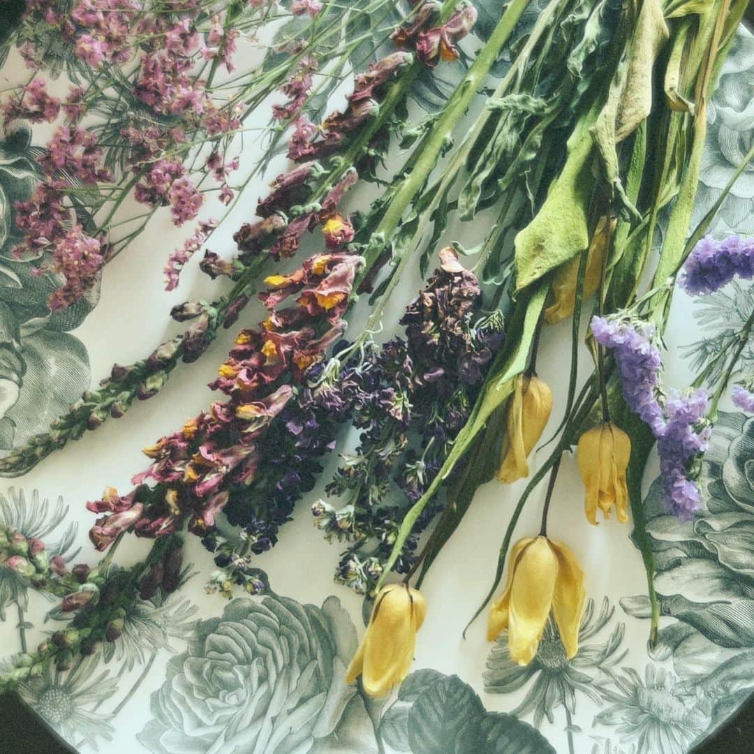 畑野ひろ子のインスタグラム：「昨日の仕入れでは、可愛いドライフラワー達も💐 チューリップやストックなどのドライフラワーはまた新鮮です🥰 ドライフラワーもどんどん進化しますね。  #flowers #dryflower #サスティナブル #サスティナブルフラワー #willgarden」