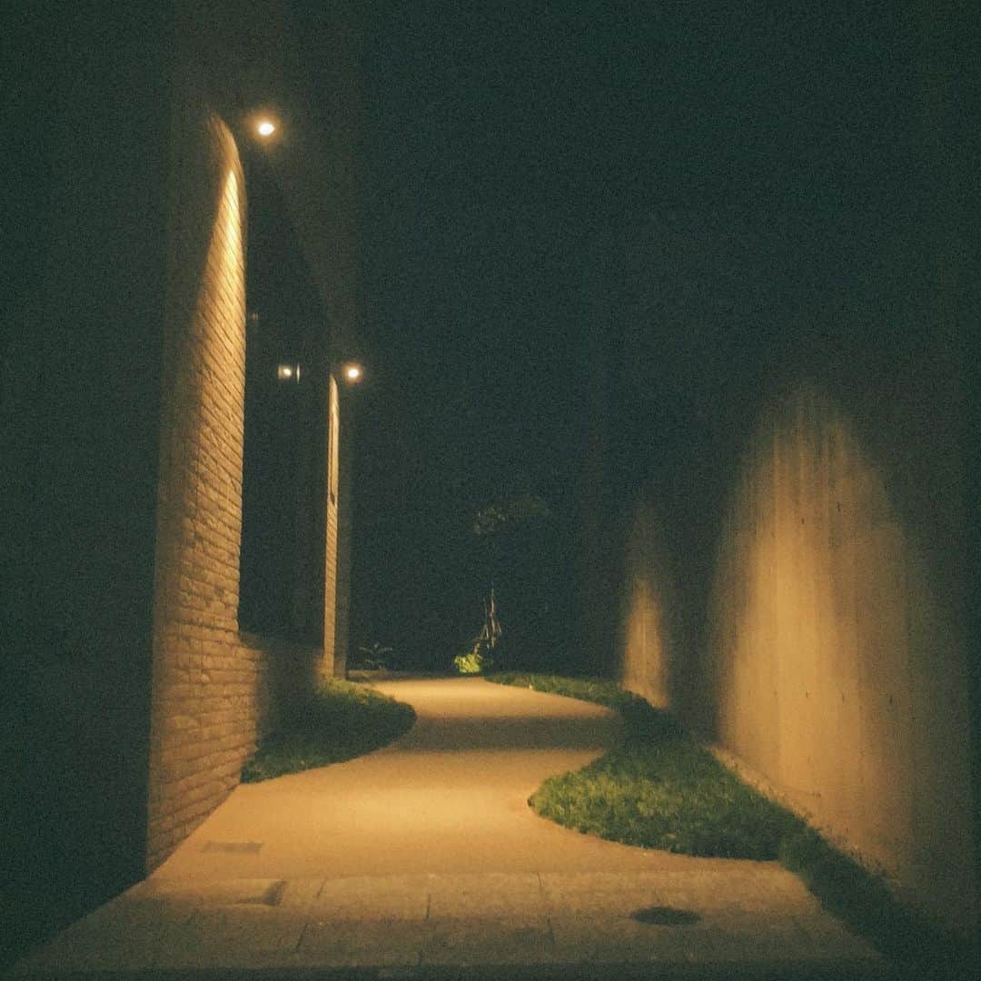 若菜みさのインスタグラム：「夜散歩した時に撮りました📷 静かめな写真です。」