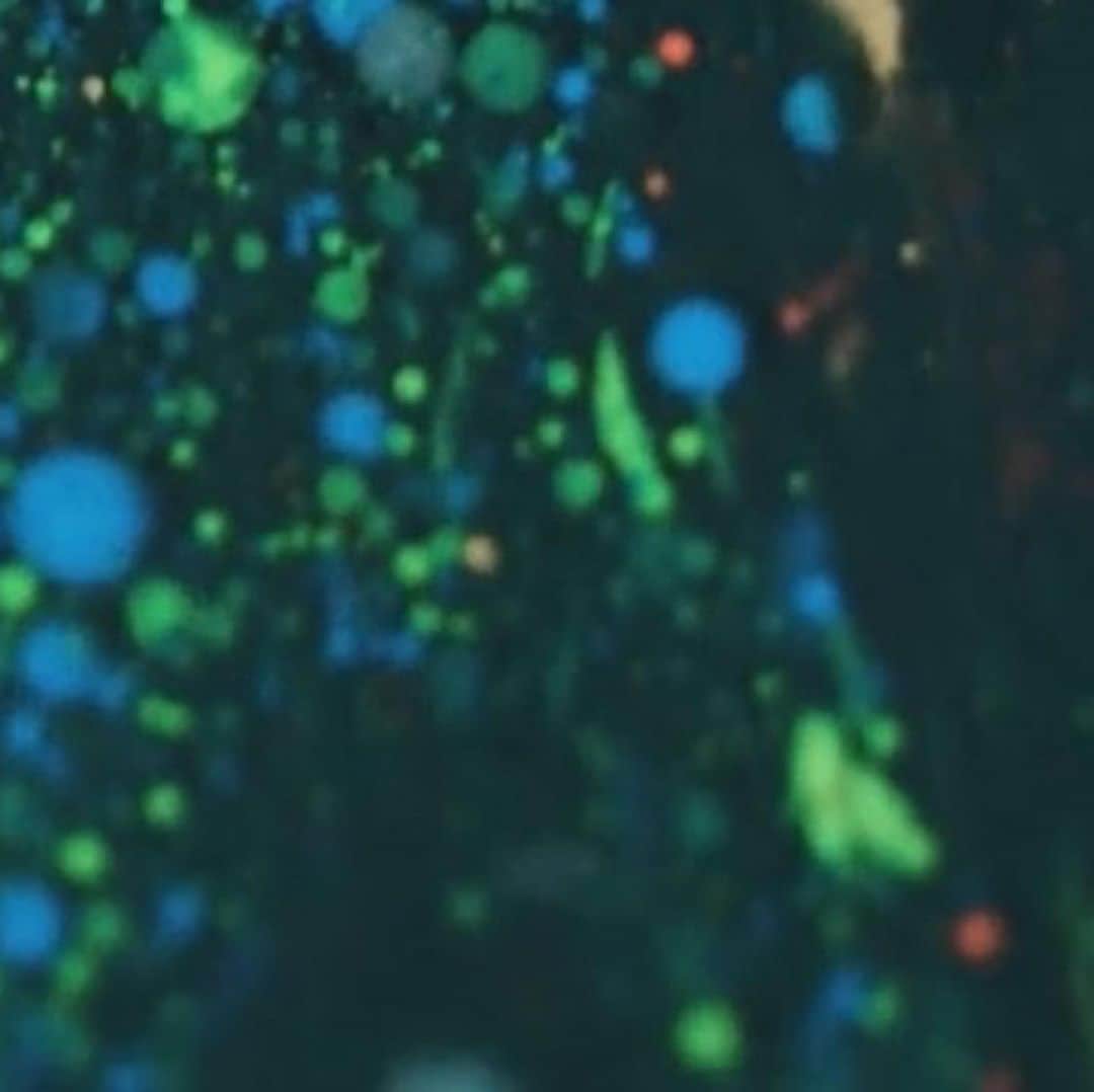 ウィズ・カリファさんのインスタグラム写真 (ウィズ・カリファInstagram)6月30日 12時04分 mistercap