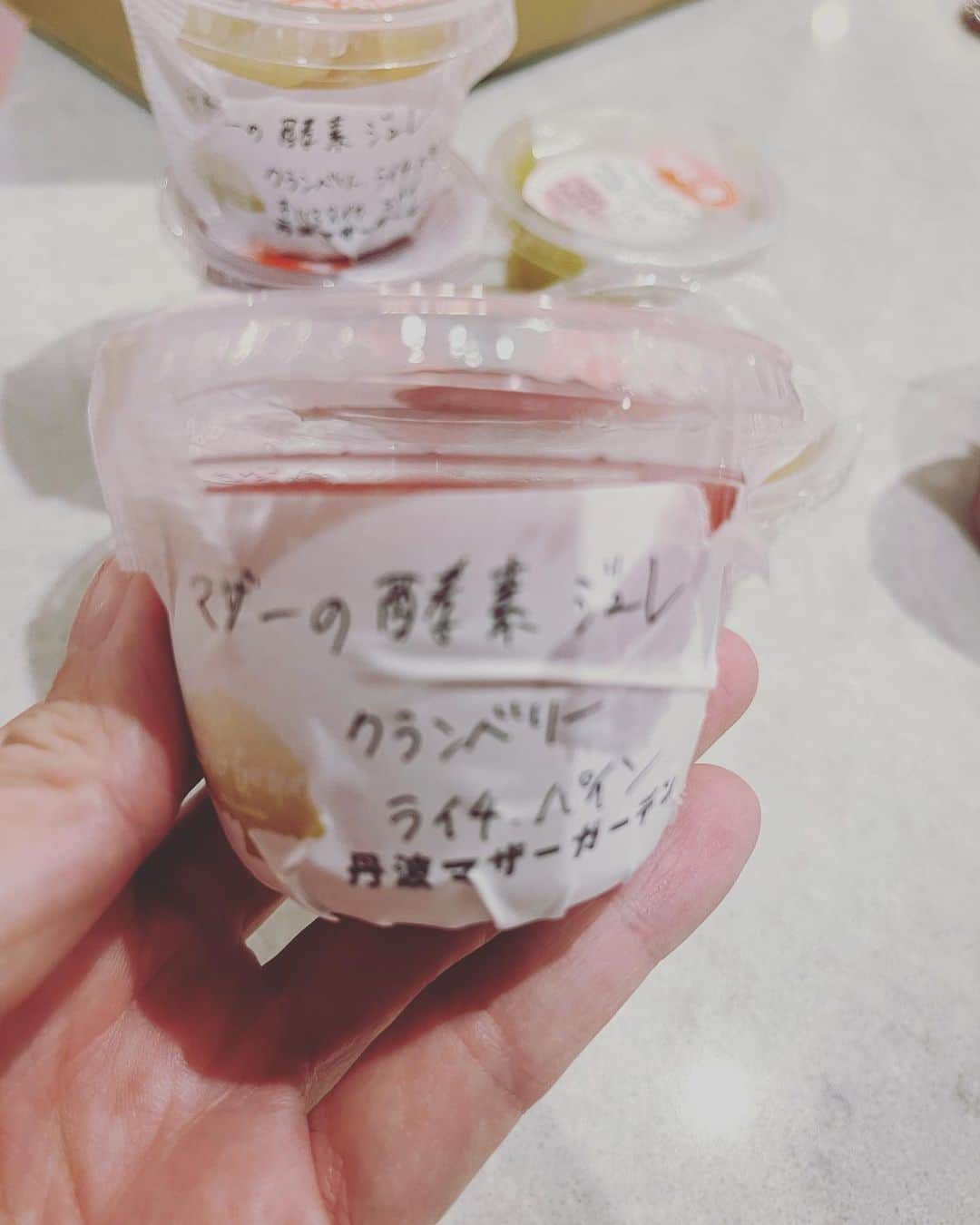 山本モナさんのインスタグラム写真 - (山本モナInstagram)「マザーの手作り薬膳ジュレの定期便が届いた❣️  早速うまうましようと思います😋 (こたろうとジョーイが)  #丹波マザーガーデン  #こたろう #バセットハウンド #バセットハウンドパピー #犬のおやつ #マザーの魔法がかかってる」6月30日 12時44分 - monayamamoto