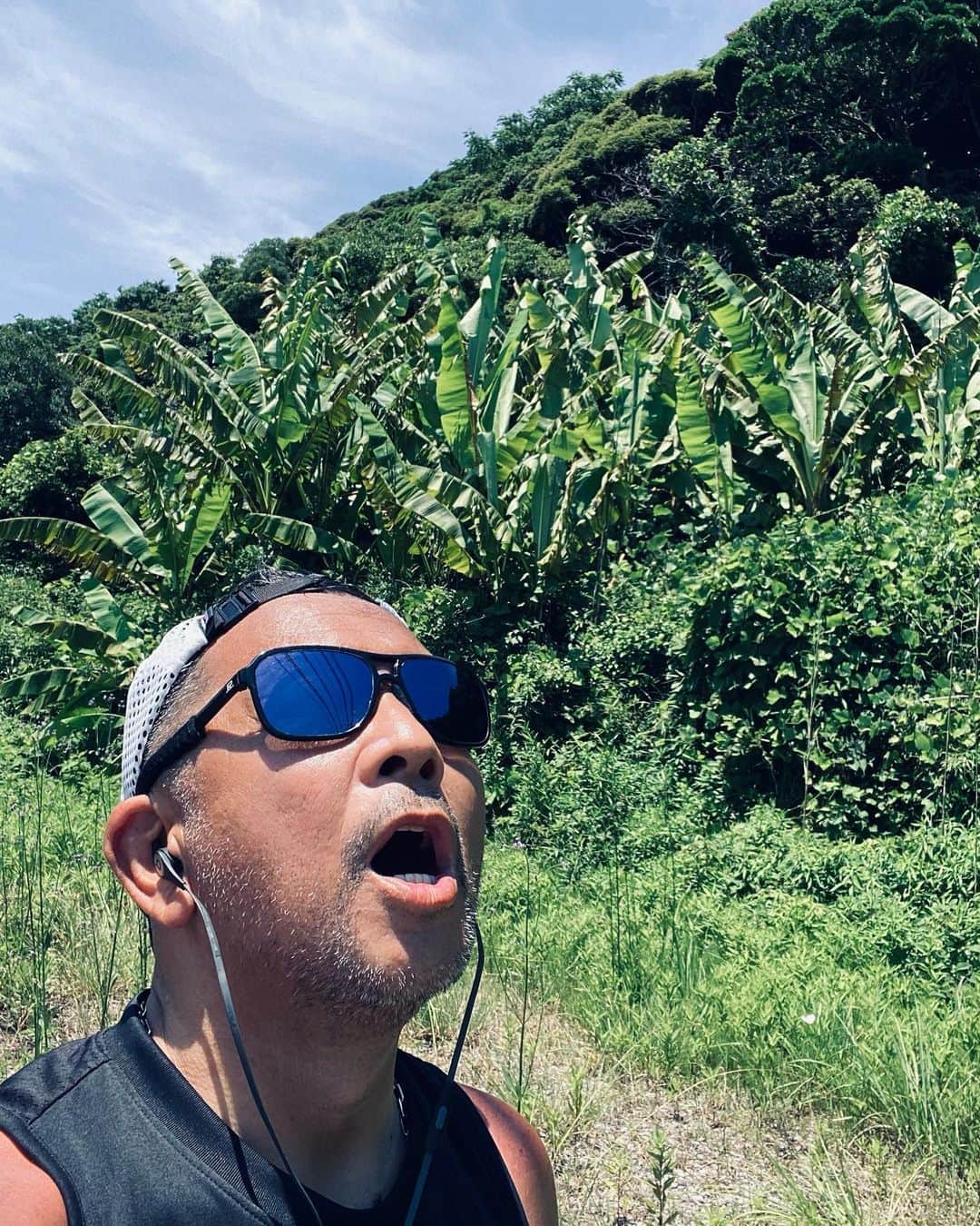 中野英雄のインスタグラム：「バナナの樹が増えてる  今日もwalking 日焼けが凄い  #walking #yokosuka  #enjoy #japan #happy」