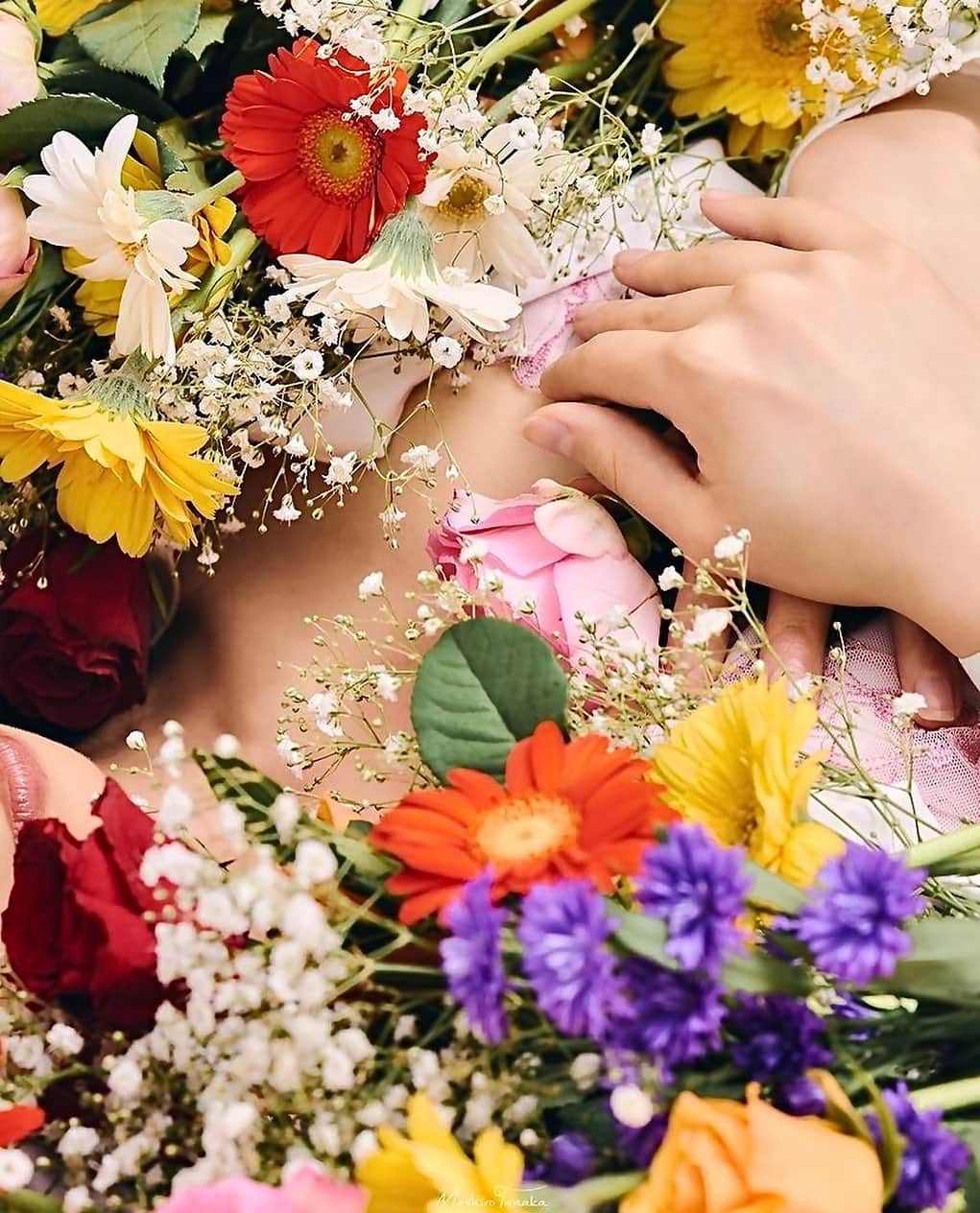 宮村ななこさんのインスタグラム写真 - (宮村ななこInstagram)「哀悼. #花葬 #花葬儀 #生前葬 #写真 #作品撮り #作品 #アート #花 #photo #photooftheday #flower #flowers #flowerphotography   Photo by(@tnkmsr )」6月30日 19時07分 - miyamuchan_001