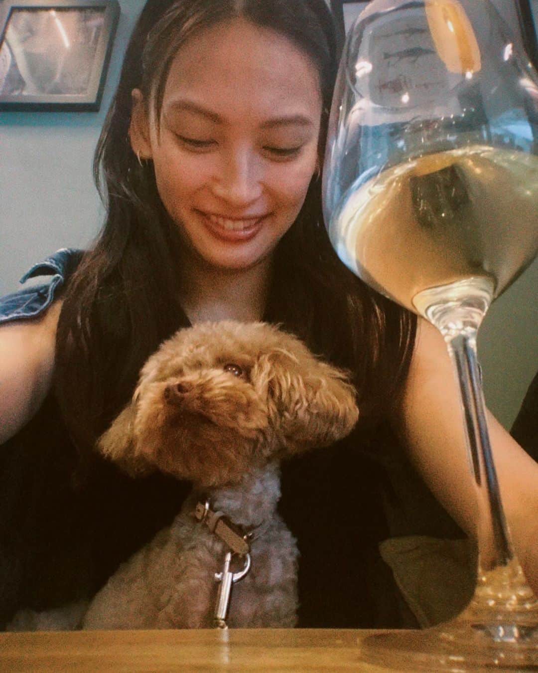 大政絢のインスタグラム：「この日はピラティスに行って身体を整え🌿 美味しいご飯屋さんに愛犬と行けて幸せな日☺️  #今日の絢服#愛犬#愛犬なちゅ」