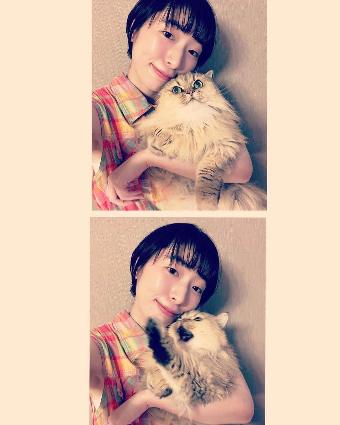 三上千陽さんのインスタグラム写真 - (三上千陽Instagram)「髪切りました」7月1日 18時31分 - chiakichi__egg