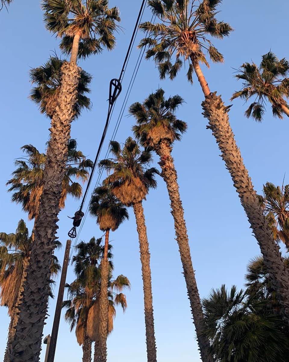 マルク・ホルンシュのインスタグラム：「🌴」