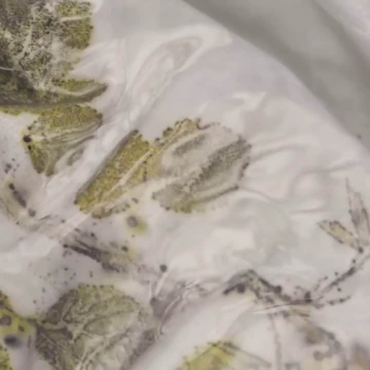 インコテックスのインスタグラム