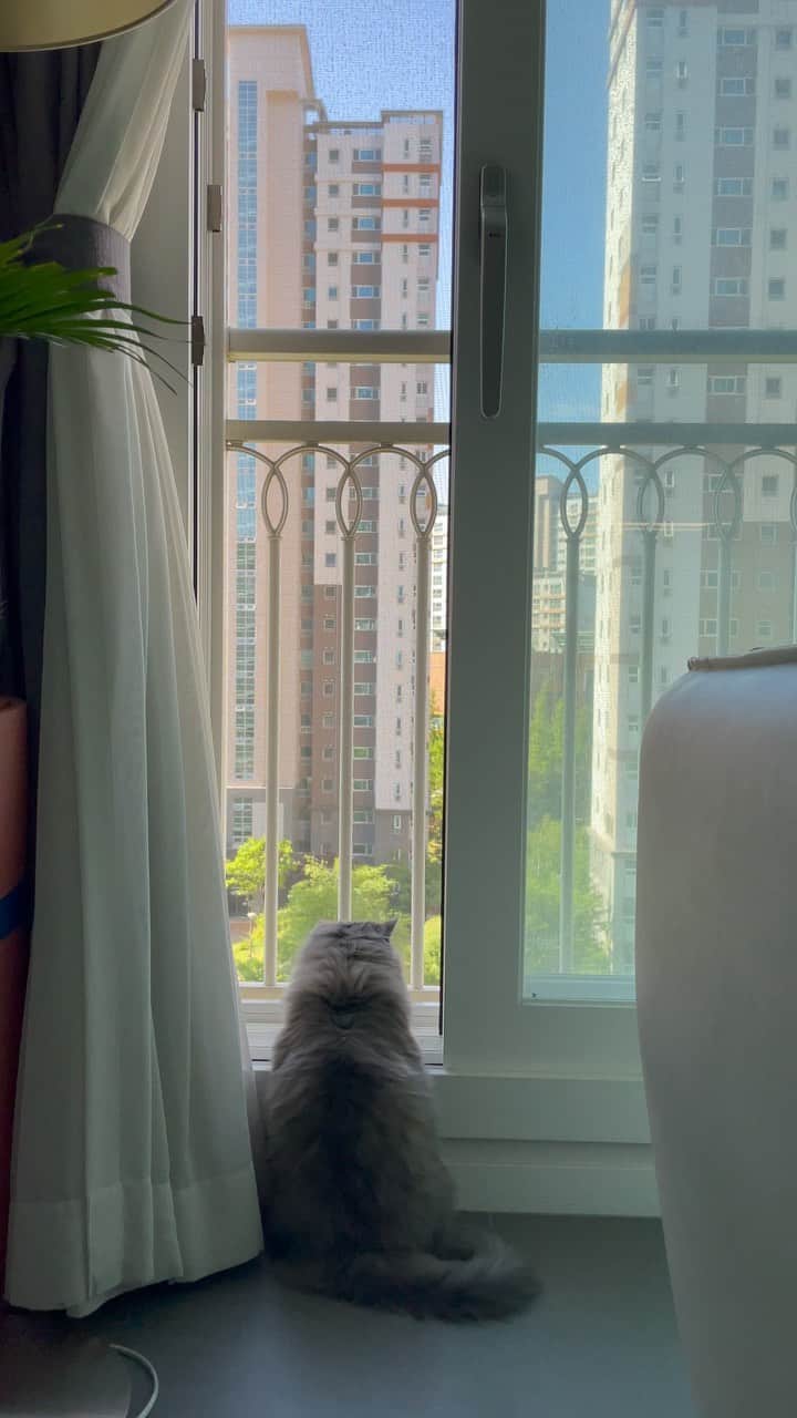 キム・ジウのインスタグラム：「. . 😻 . .」
