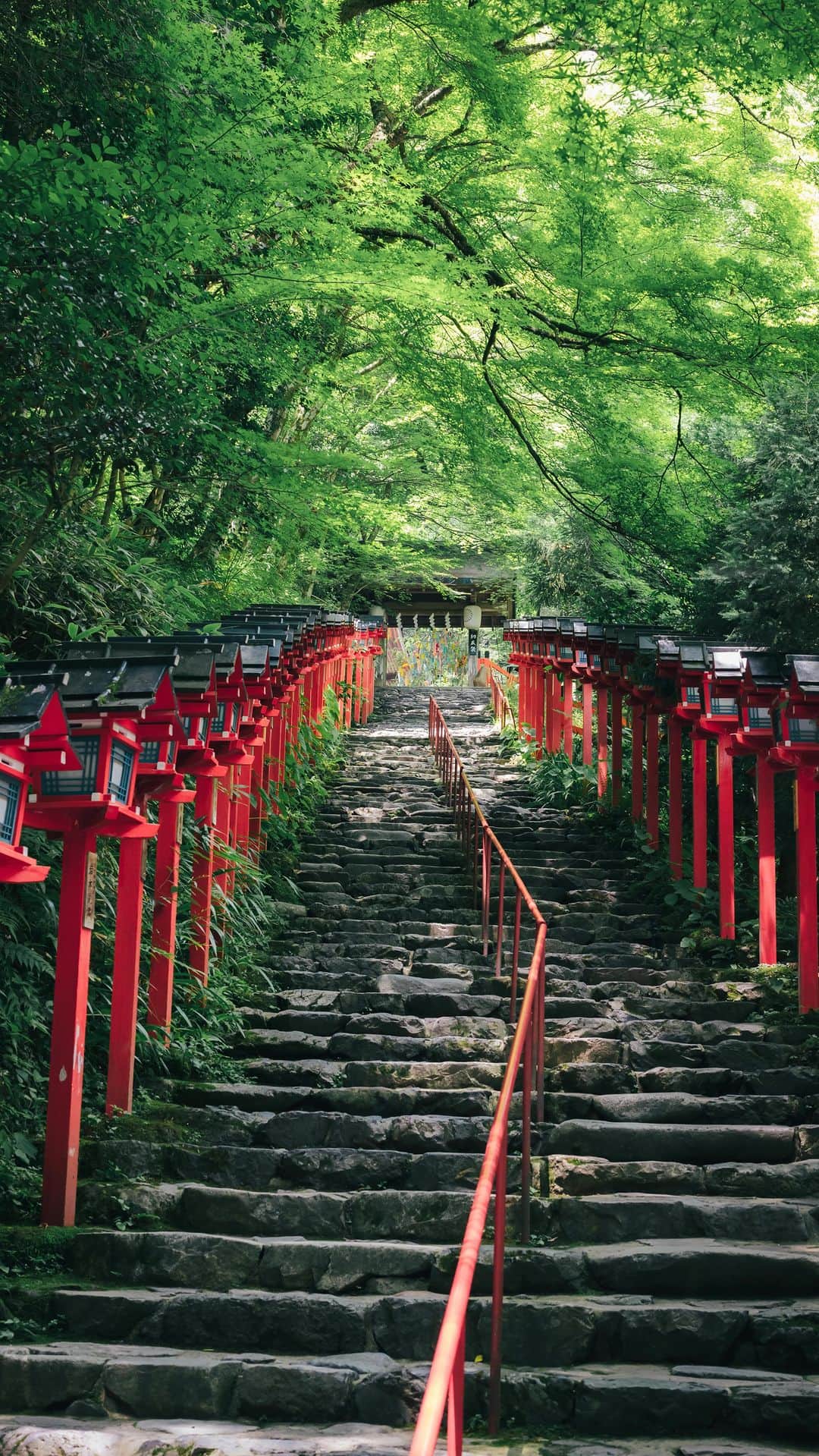 Yuma Takatsukiのインスタグラム：「夏の貴船神社 Kifune Shrine . . . 暑い夏ですが、貴船神社は比較的 涼しくて水も気持ちよかったです。 川床でのんびりする夏、おすすめすぎました。  それでは今日もお疲れさまでした！ . Kyoto／Japan Nikon Z5／NIKKOR Z 50mmF1.2 S ⁡. ⁡――――――――――――――――――――――― 関西を中心にフリーランスで活動しています。 Web広告、個人撮影、家族撮影、PR撮影など、 7月以降の撮影依頼募集中です。  またフォトサークルITTOKOという活動をしています。 詳しくはプロフィールのURLからご覧下さい。 ――――――――――――――――――――――― ⁡. ⁡#貴船神社 ⁡#kifune ⁡#kifuneshrine  ⁡#京都観光 #reels #動画制作 #動画編集  #動画クリエイター  #動画  ⁡#撮影依頼募集中  #出張撮影関西  #カメラ男子 #カメラ女子  #68rhythmmag  #genic_mag #streetclassics#team_jp_ #MoodyGrams#instagram#doports#tokyocameraclub#reco_ig#gpw_members_only#photo_travelers#photo_shorttrip#jp_mood#theportraitpr0ject#followforfollowback#secondhand」
