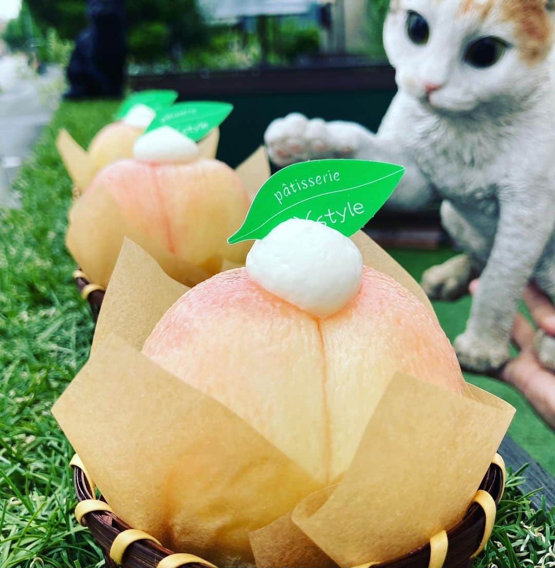 箕面 マカロン ワイスタイルのインスタグラム：「パティスリーワイスタイルです！ 本日から『まるごと桃』の販売がスタートしました！」