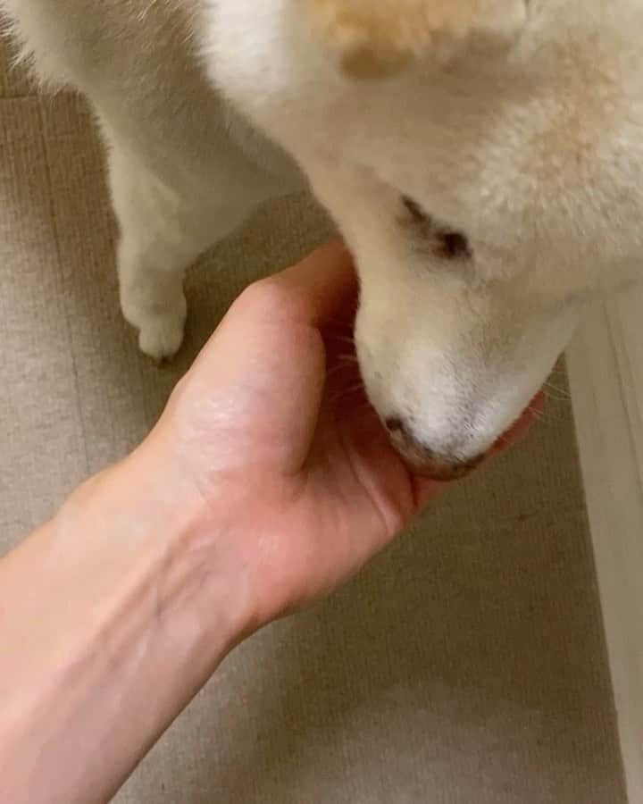 高垣麗子のインスタグラム