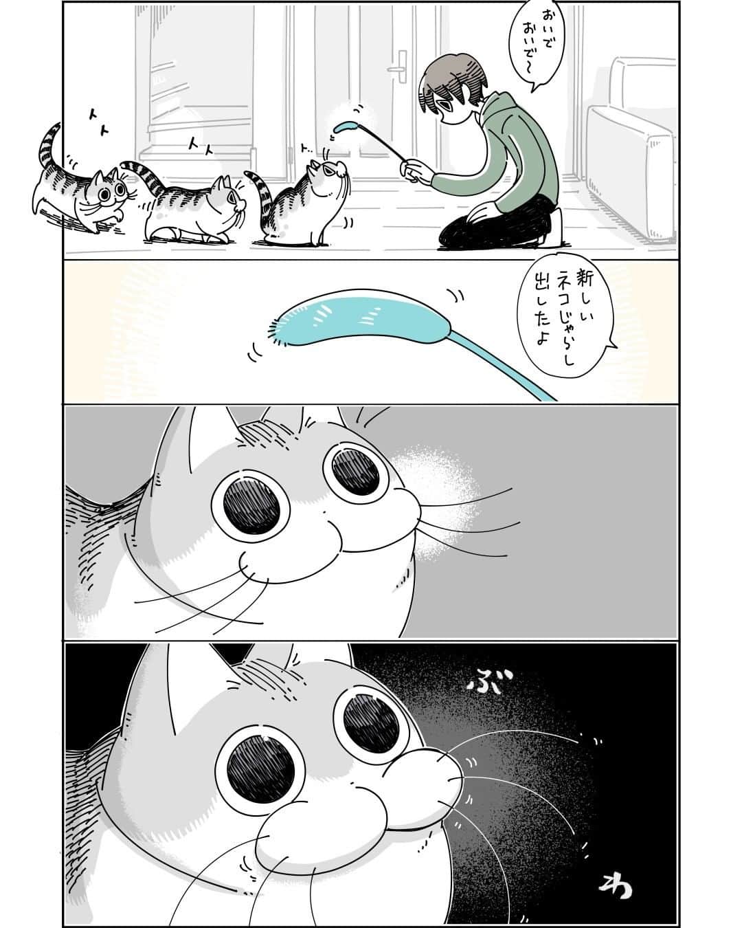 キュルZのインスタグラム：「新しいネコじゃらし  #キュルガ #夜は猫といっしょ #猫 #猫漫画 #猫のいる暮らし」