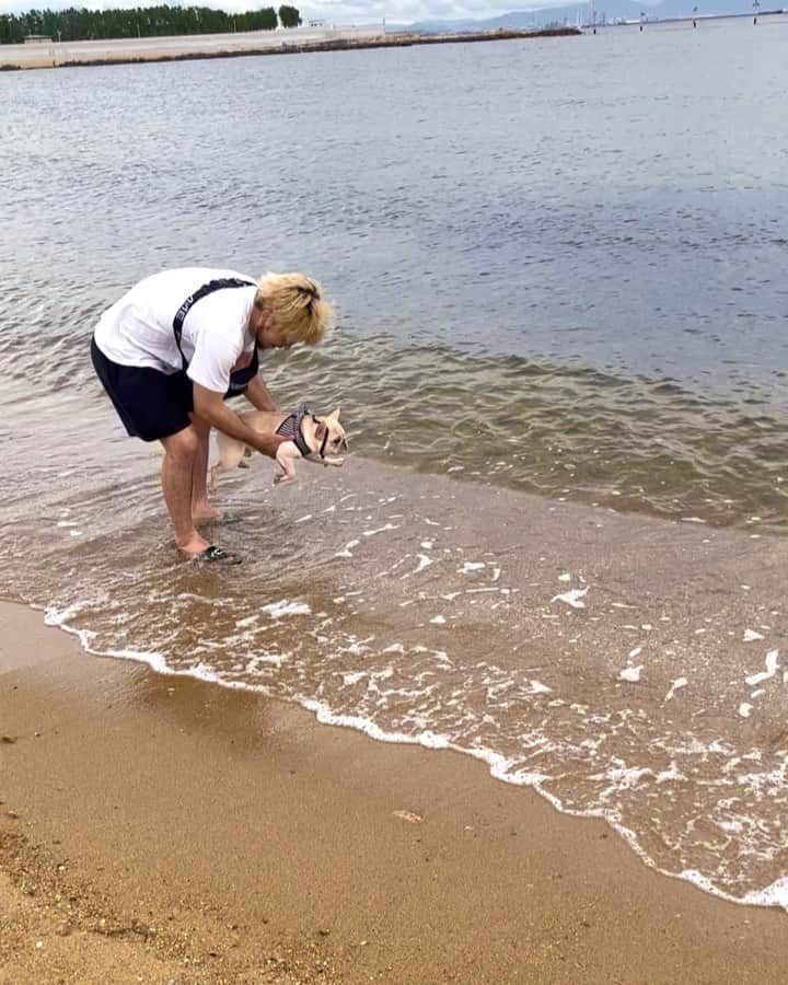 岩﨑正寛のインスタグラム：「くじらは初めての海🐳 本能で犬掻きをしたようだが足は着いた。 @frenchbulldog_unagi」