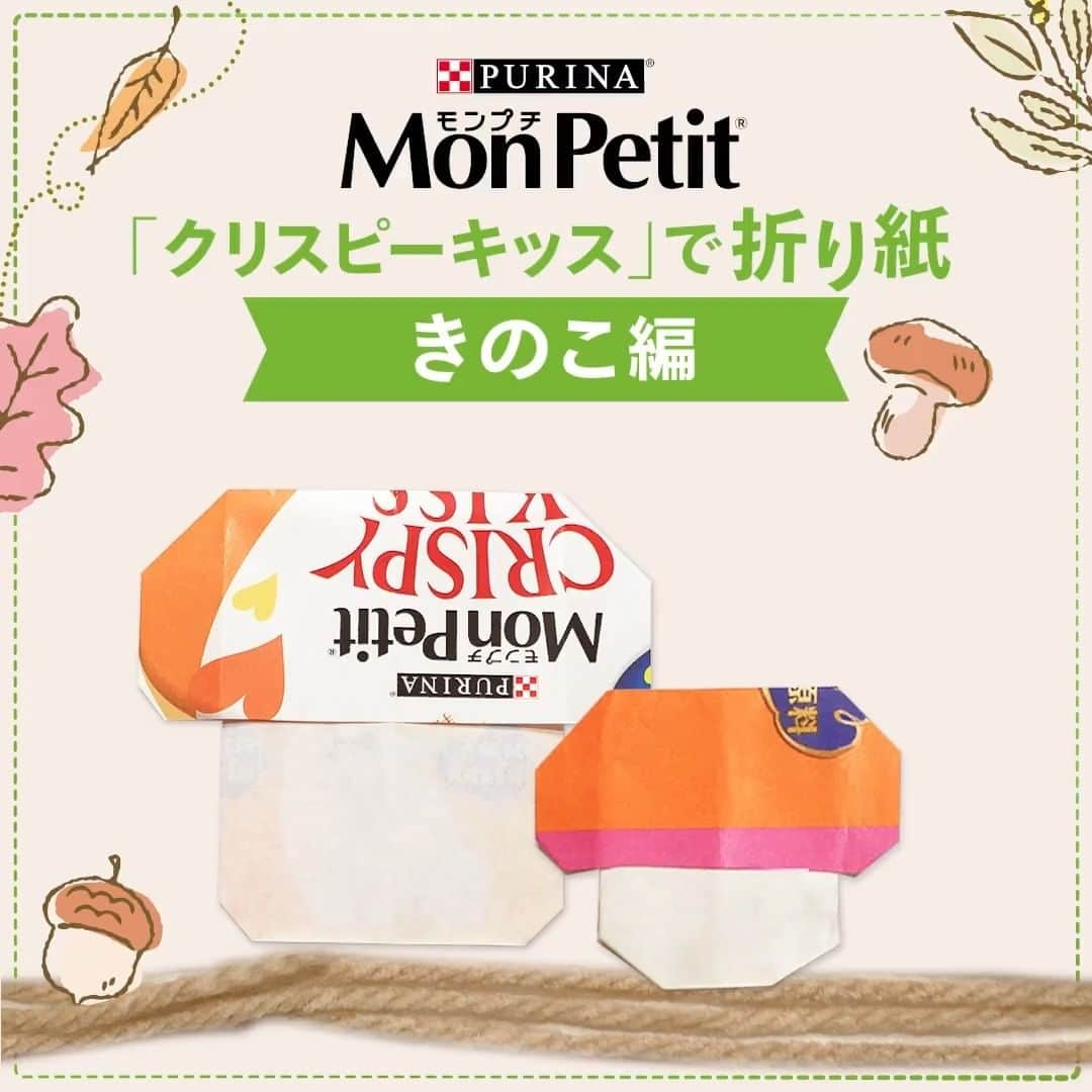 Purina Mon Petit Japanのインスタグラム