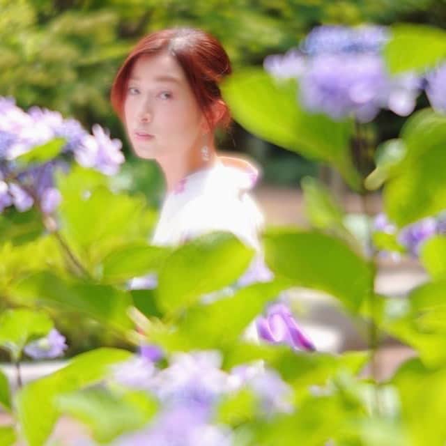 木谷有里さんのインスタグラム写真 - (木谷有里Instagram)「紫陽花の季節も終わり、 7月突入☺️  本格的な夏が始まる🌻  今年は少し遠出できるかなと、 わくわくしています♪  Photo by @tsuchiyakatsuyoshi   #紫陽花　#浴衣」7月4日 11時27分 - kitani_yuri