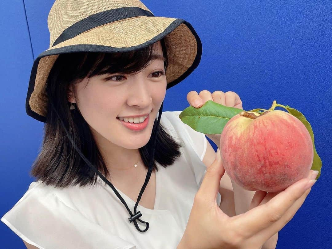 大谷萌恵さんのインスタグラム写真 - (大谷萌恵Instagram)「桃の出荷始まりました🍑  葉っぱつき！！特別感  取材に伺った際、スタジオ撮影用にいただきました。  早く食べたいけど 食べごろまでもう少し我慢する😐  #夏の味覚 #新潟市南区 #白根 #JA新潟かがやき #青山さんの果樹園 #TeNY #テレビ新潟 #大谷萌恵」7月4日 17時01分 - moe_ohtani_teny