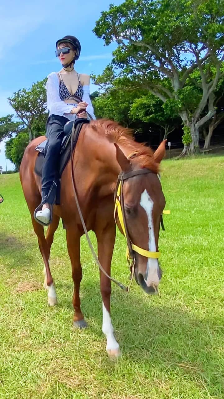 JUNKO（飯田順子）のインスタグラム：「🐴🐎🫶 ・ ・」