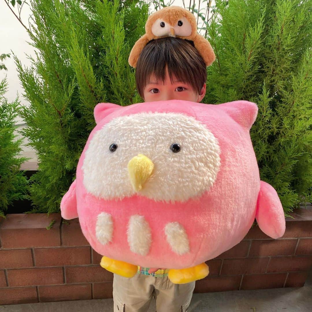 のインスタグラム：「withまるふくろうショット🦉  まずは #間宮祥太朗 さん演じる玄之介の息子 進之介役の #岩川晴 くん👦  まるふくろうを抱えてる、、、というか むしろ、埋もれてる？？😂 顔ほぼ隠れちゃってます🙈  頭のふくろうにもご注目👀  「これ、家に持って帰りたい！！」と デカまるふくろうが大のお気に入りに😍  まるふくの大人たちに全く怖気付かない 堂々とした晴くん ヤンチャかわいい、ヤンかわ少年です🎮  #魔法のリノベ #月10ドラマ #カンテレ」