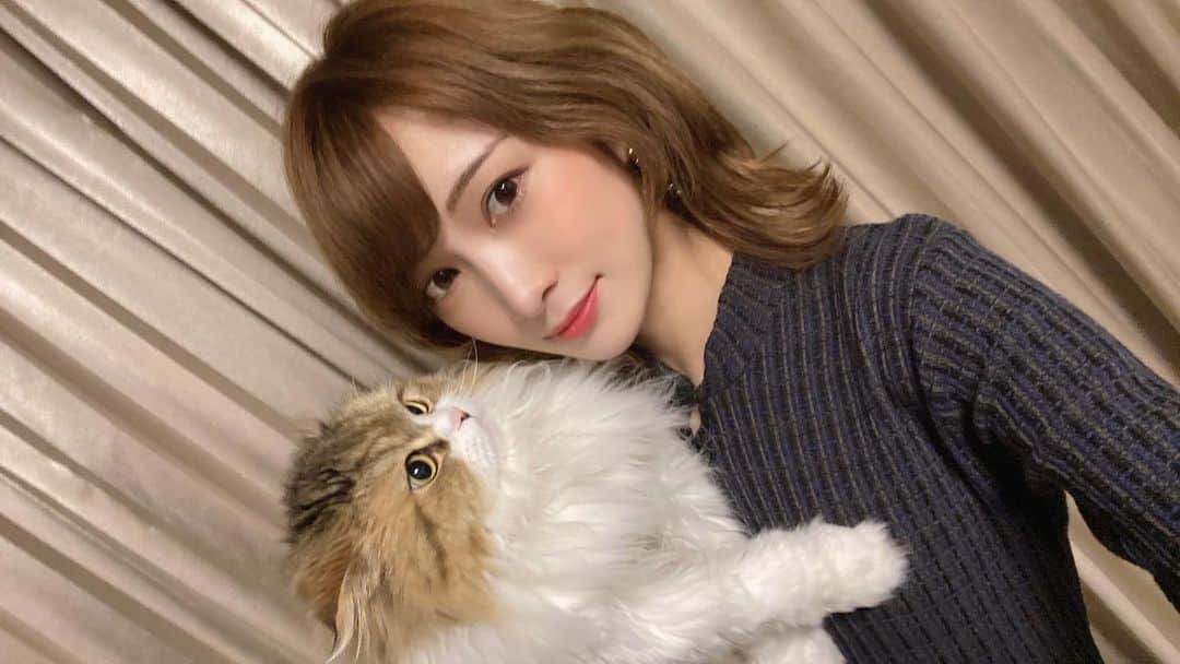 のインスタグラム：「🐈 久しぶりにツーショットしてみた🐾 やっぱりすぐ不機嫌になるどや様だった。 . . #どや #ねこ  #スコティッシュフォールド  #スコティッシュ垂れ耳 #猫様と下僕」