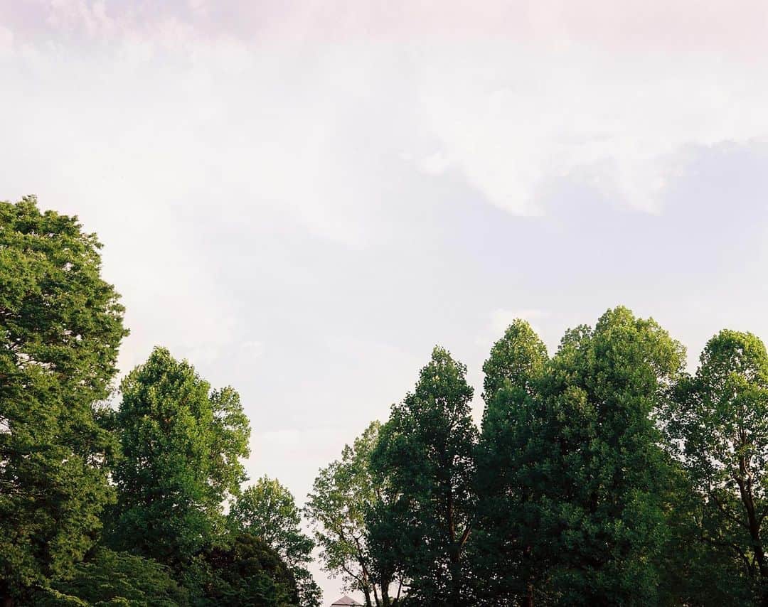 草彅剛さんのインスタグラム写真 - (草彅剛Instagram)「夏ですね。 涼しくしてね。 #マキナ67 #中判カメラ  #フィルムカメラ」7月6日 11時51分 - tsuyoshikusanagi_official
