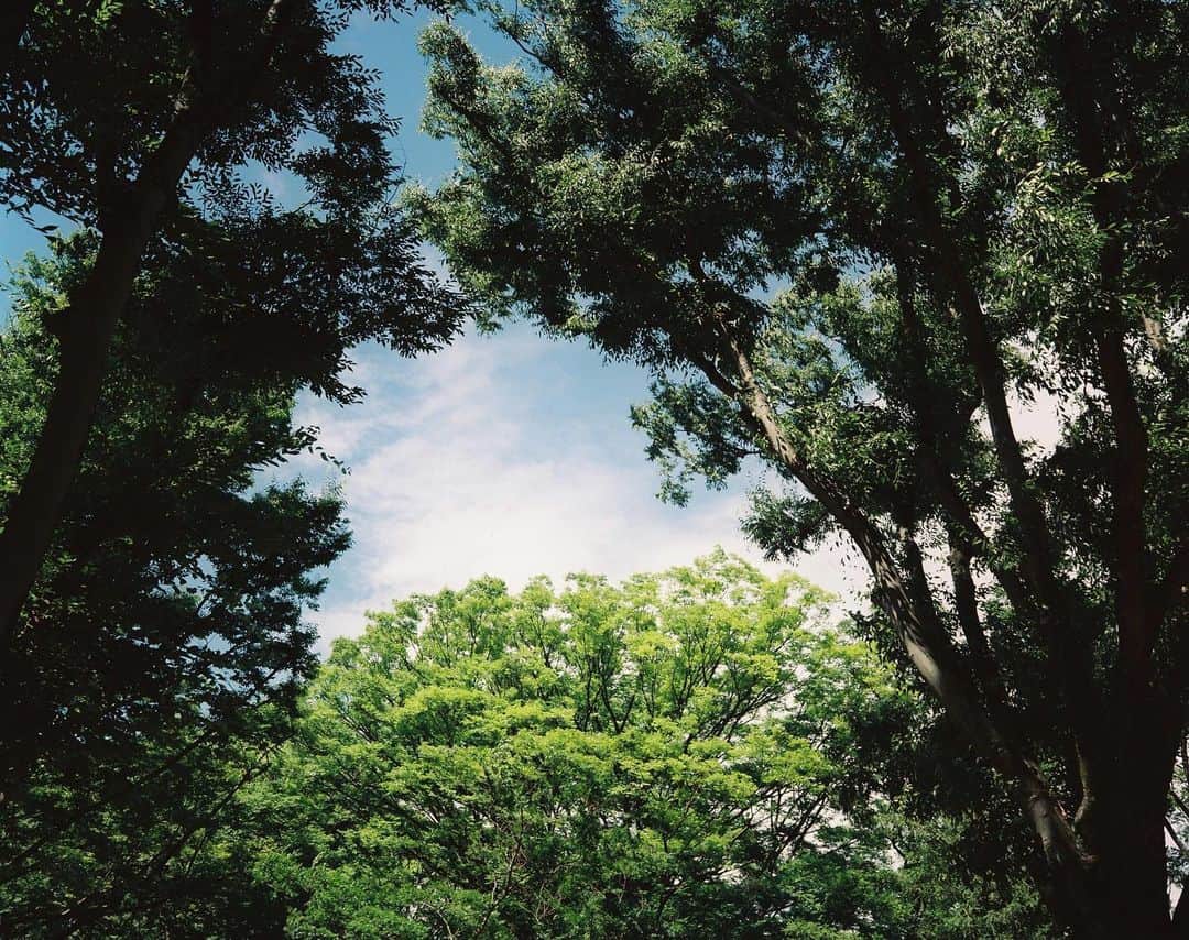 草彅剛のインスタグラム：「夏ですね。 涼しくしてね。 #マキナ67 #中判カメラ  #フィルムカメラ」
