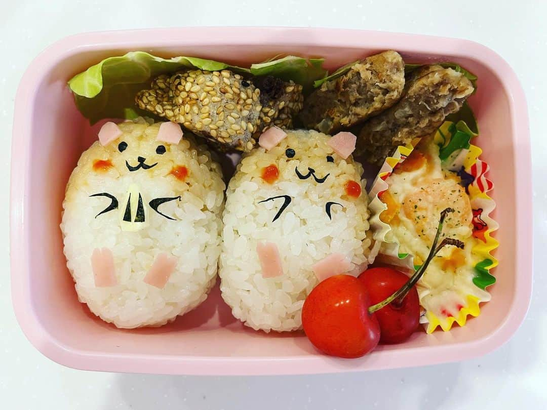 尾関高文のインスタグラム：「ハムスター大好きな娘にハムハム弁当。作ってからハムスター好きには逆に食べにくいのではなかったのかと気づく。」